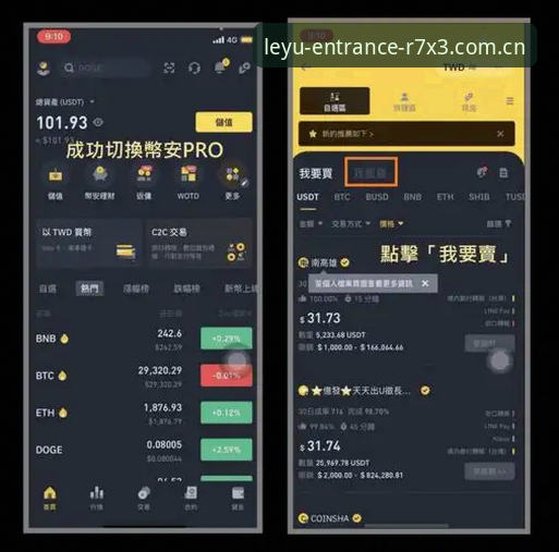 乐鱼平台安全攻略 乐鱼平台安全攻略:从注册到提现的全流程操作教程